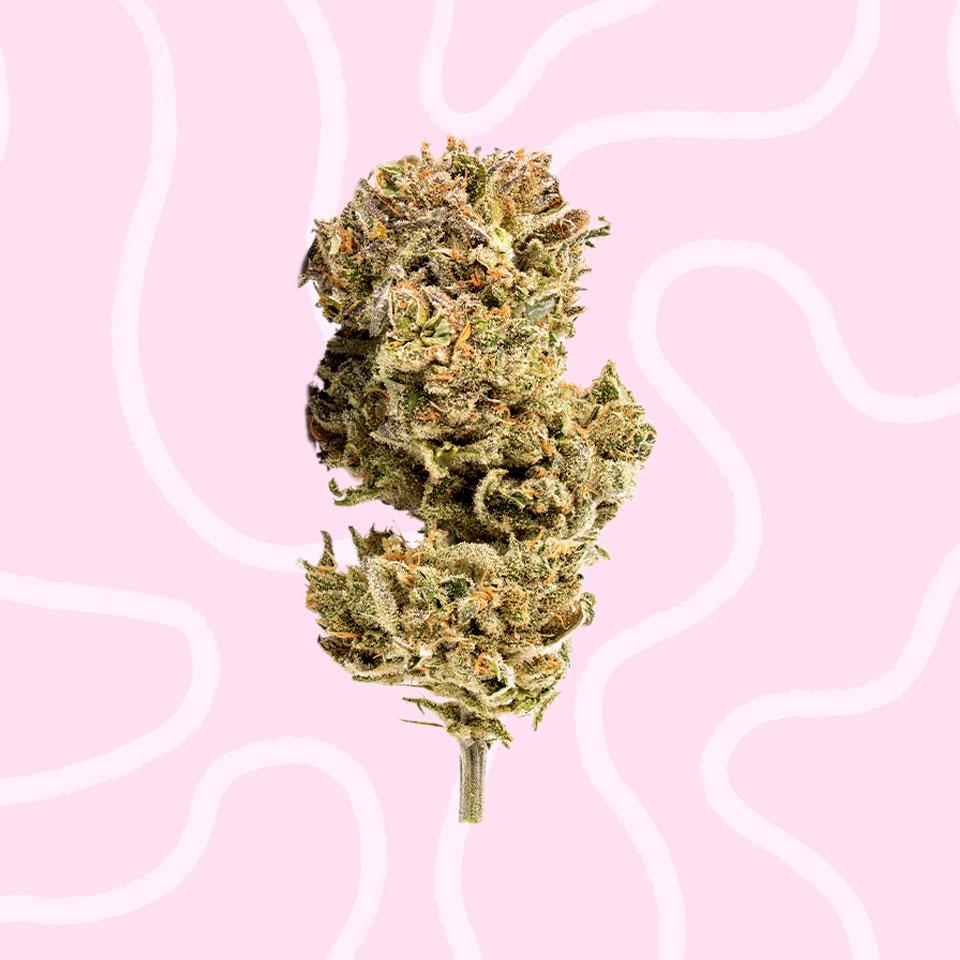 Sweet Supply Cannabis B52 Bomber