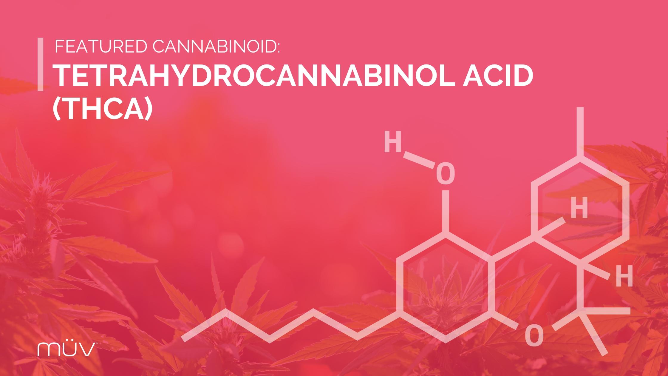 Tetrahydrocannabinol Acid