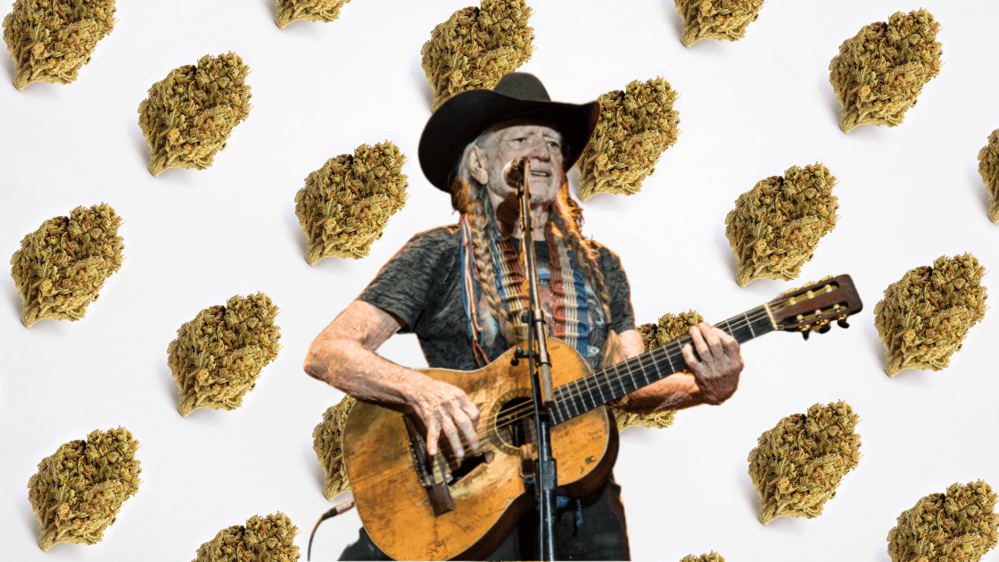 Willie Nelson Halloween Costume