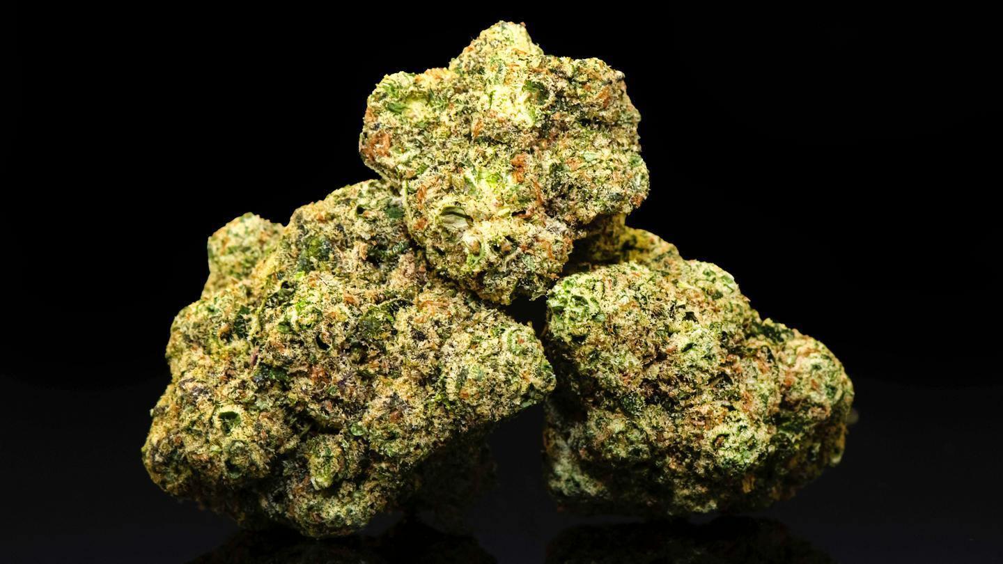 slurricane cannabis nug